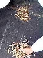 廃棄物分別作業