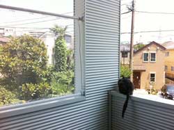 u茴O@v