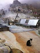 箱根