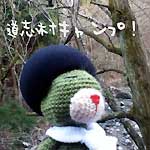 ؃AgG