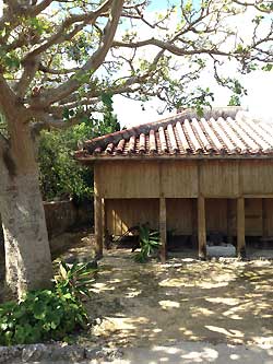 沖縄で見かけた蔵