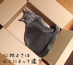 蔞