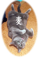 㒆̔