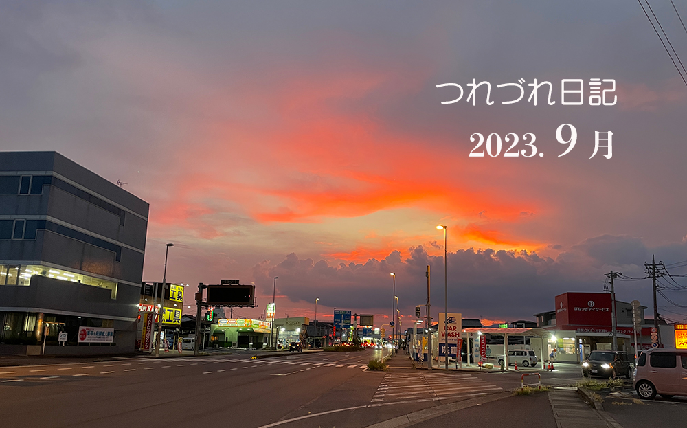 2023N9