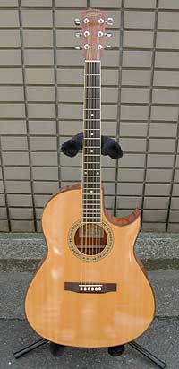 Laribee C-05/1991