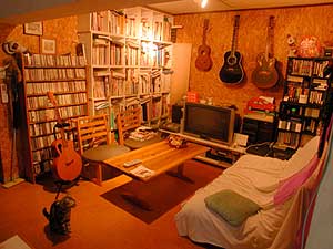 Ovation Super Adamas1995