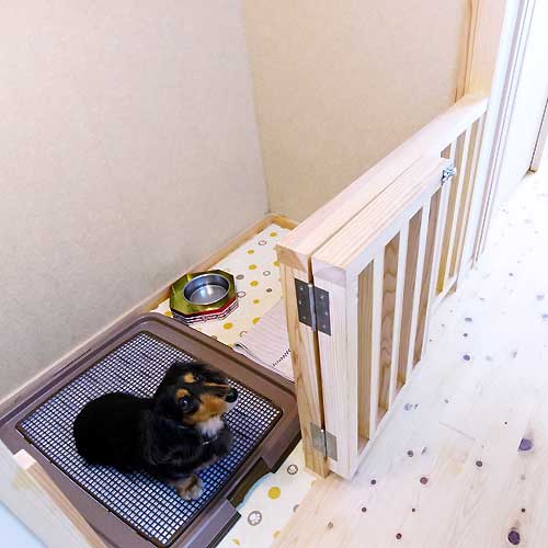 わんこ部屋