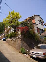 敷地