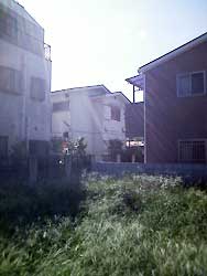 敷地