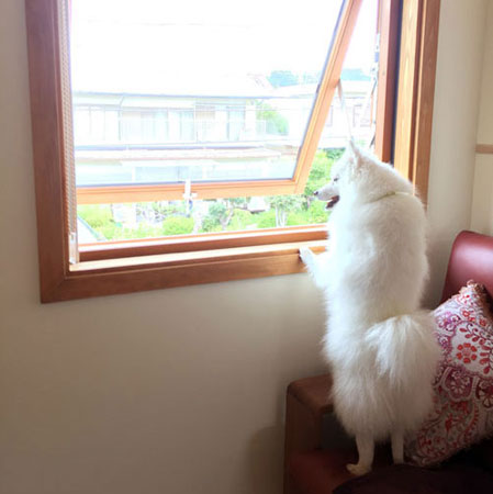 QKrÕ\t@[͂Cɓ̏ꏊ